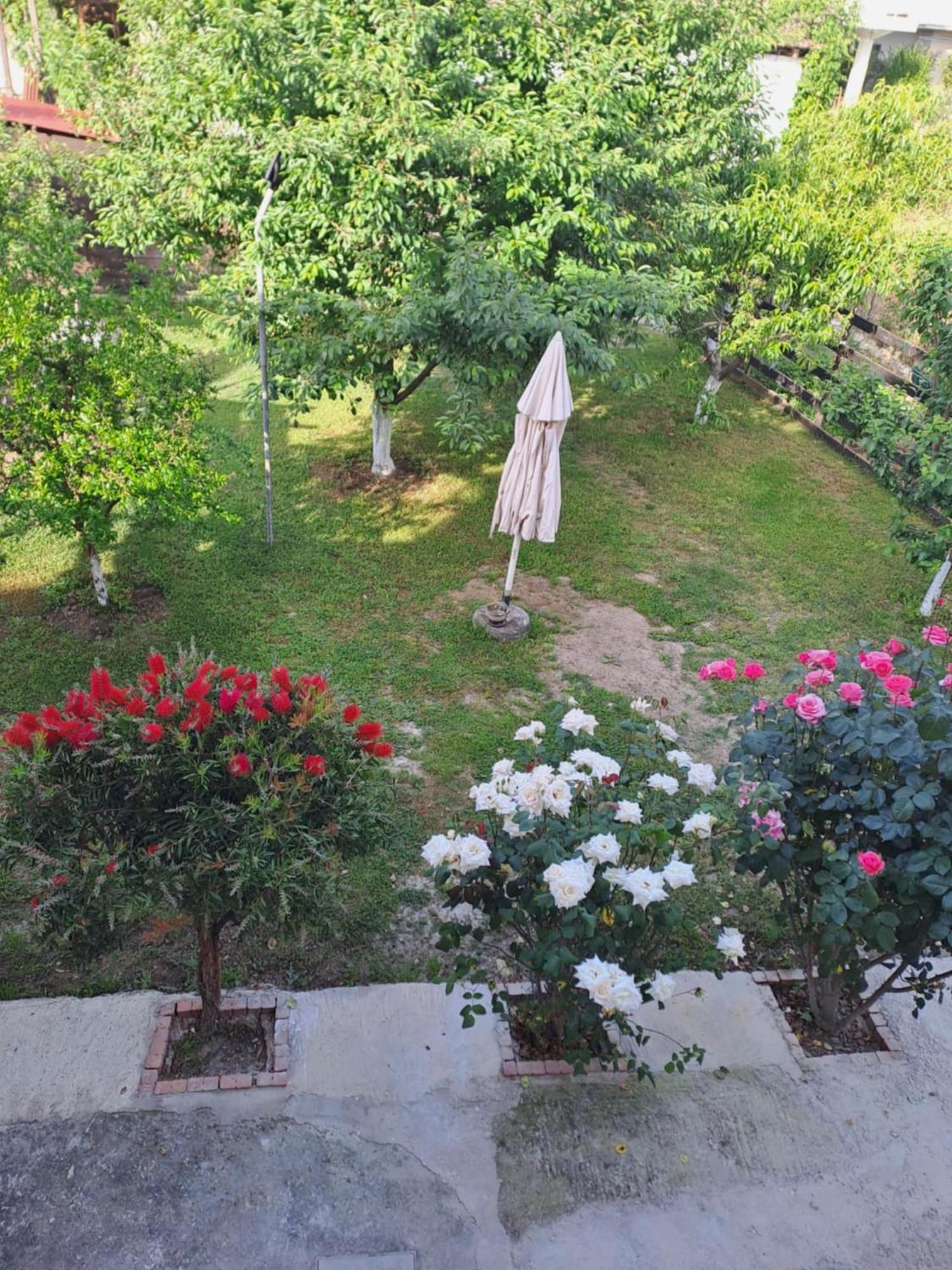 Aspa2 Platamonas Exteriér fotografie